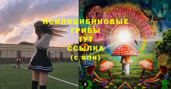 герыч Инта
