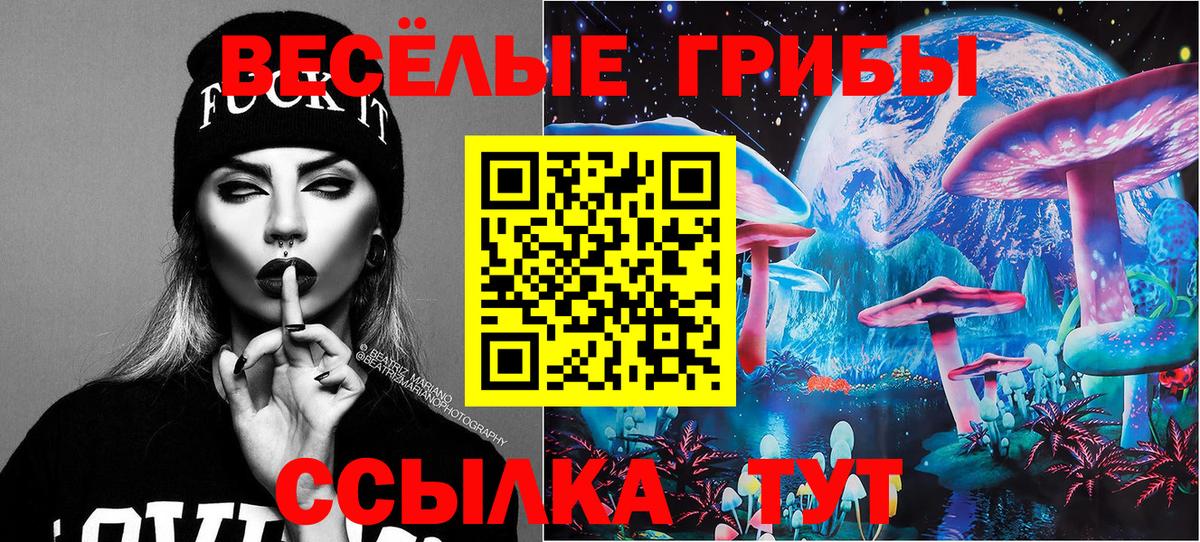 Псилоцибиновые грибы Psilocybine cubensis  Галлюциногенные грибы Psilocybe  Родники  где купить наркоту  Вход с VPN 