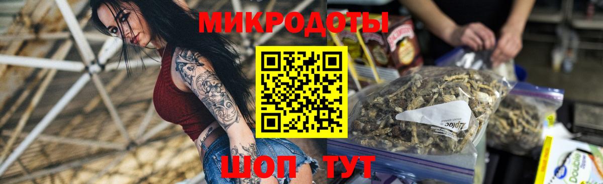 Псилоцибиновые грибы Cubensis Родники